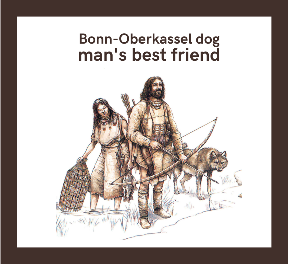 Bonn-Oberkassel dog, man's best friend